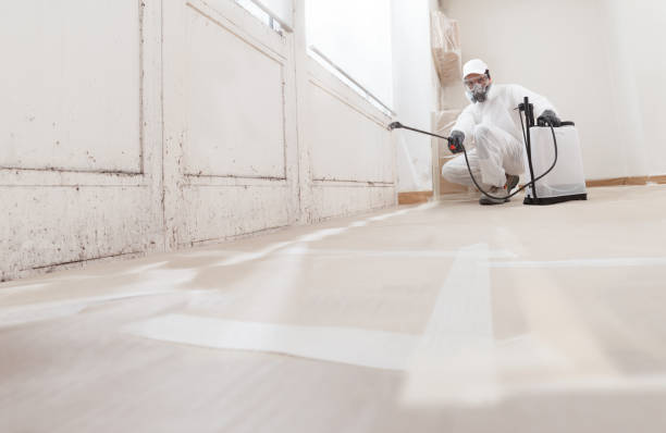 Trusted Crawl Space Mold Removal service in Spangler, PA - WQB Mold Removal