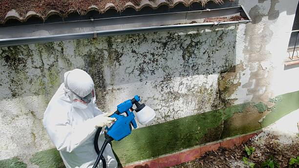 Top rated local Crawl Space Mold Removal specialists in Spangler, PA